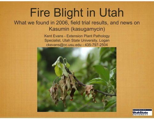 Fire Blight in Utah - Utah State Horticultural Association Homepage