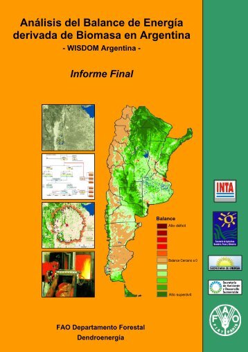 Análisis del Balance de Energía derivada de Biomasa en Argentina
