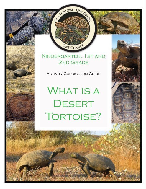 K - 2nd Grade - What is a Desert Tortoise?