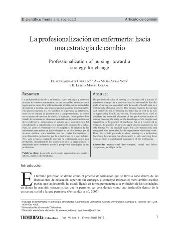 La profesionalizaciÃ³n en enfermerÃ­a: hacia una estrategia de cambio