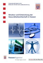 Struktur und Entwicklung der Gesundheitswirtschaft in - HA Hessen ...