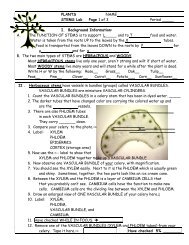 PLANTS NAME STEMS Lab Page 1 of 3 Period _____ I ...