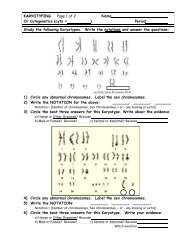 Biology Karyotype Worksheet Answers Key