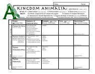 Animal Phyla Worksheet