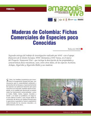 Maderas de Colombia - Revista El Mueble y La Madera