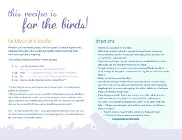 Fat block bird feeder (PDF) - David Suzuki Foundation