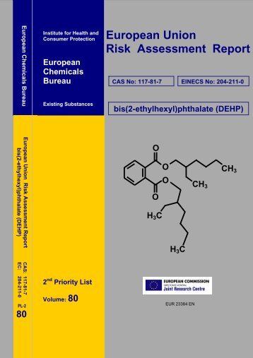 The full Risk Assessment Report - DEHP Information Centre