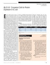 BL21-SIâ¢ Competent Cells for Protein Expression in - CDFD