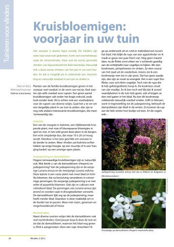 Kruisbloemigen: voorjaar in uw tuin - Vlindernet