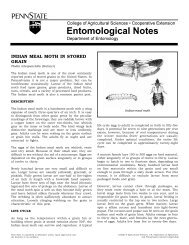 PDF version of Indian Meal Moth Fact Sheet - Entomology