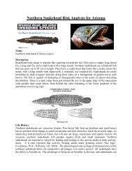 Northern Snakehead Risk Analysis for Arizona - Arizona Game and ...