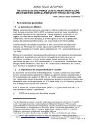 Impacto de los transgenicos en la apicultura de Yucatan ver3 (1).pdf