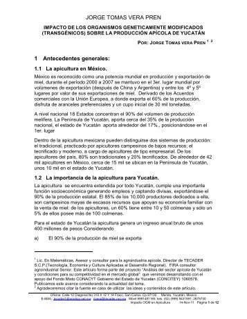 Impacto de los transgenicos en la apicultura de Yucatan ver3 (1).pdf