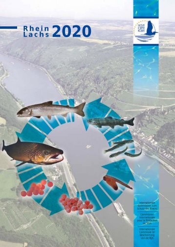 Rhein Lachs - Wasser, Klimawandel & Hochwasser