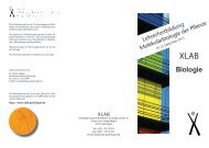 Flyer - XLAB