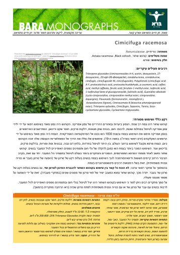 קוהוש שחור | Cimicifuga racemosa