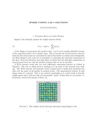 SPARSE CODING LAB 5 SOLUTIONS 1. Sanger's Rule on Lines ...