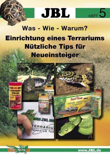 Einrichtung eines Terrariums Nützliche Tips für Neueinsteiger