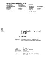 Organisationshandbuch GRIBE - Kanton Bern