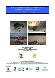 télécharger le document - Réseau des tortues marines de Guadeloupe