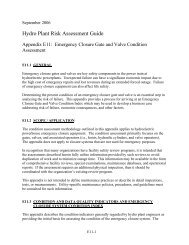 Hydro Plant Risk Assessment Guide