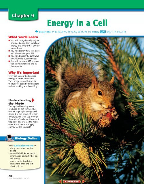 Chapter 9 Energy In A Cell New Braunfels Isd