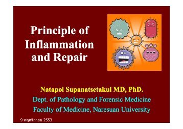 Principle of Inflammation and Repair - Faculty of Medicine