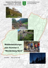 Bericht WEP Werdenberg Nord - im St.Galler Wald - Kanton St.Gallen