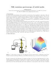 NIR remission spectroscopy of turbid media