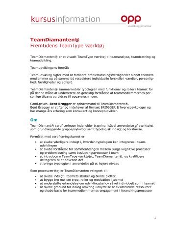 TeamDiamantenÂ® Fremtidens TeamType vÃ¦rktÃ¸j - OPP - Eu.com