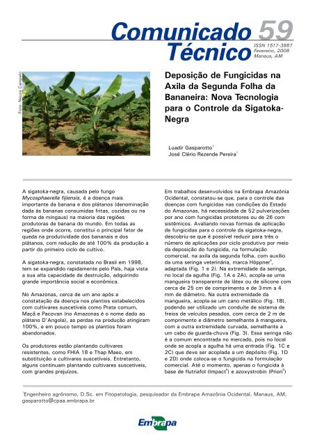 Nova Tecnologia para o Controle da Sigatoka- Negra - Embrapa