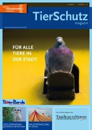 TierSchutzMagazin NR. 14 hier als PDF-Datei öffnen oder speichern.