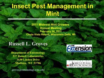 Insect Pest Management in Mint - Russell Labs Site Hosting