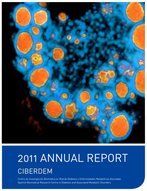 2011 AnnuAl RepoRt - Ciberdem