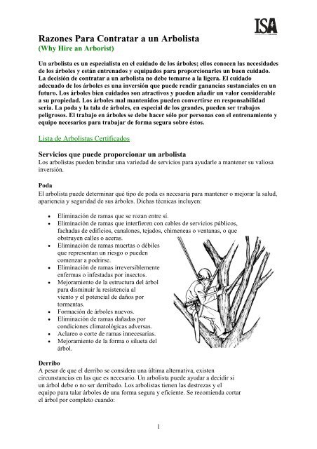 Razones para contratar a un arbolista - ISA Hispana