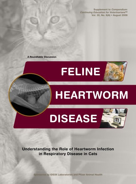 Feline Heartworm Disease Roundtable - IDEXX - IDEXX Laboratories