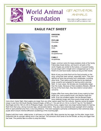 EAGLE FACT SHEET - World Animal Foundation