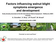 Walnut blight symptoms - Cost 873