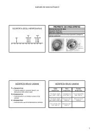 Herpes Simplex - SunHope.it