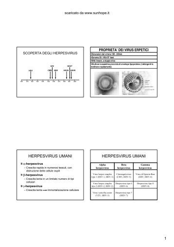 Herpes Simplex - SunHope.it