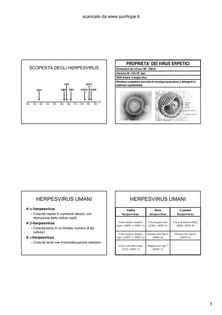 Herpes Simplex - SunHope.it