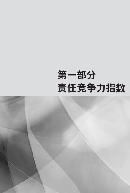 å½å®¶è´£ä»»ç«äºåï¼2007ï¼ - AccountAbility