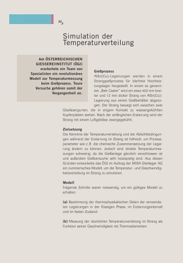 Simulation der Temperaturverteilung - ACR