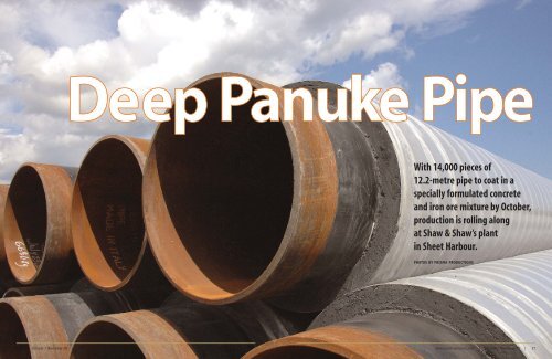 Deep Panuke Project - Bredero Shaw