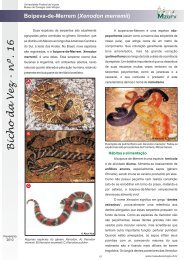 Bicho da Vez - nº. 16 - Museu de Zoologia João Moojen - UFV