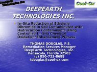 DEEPEARTH TECHNOLOGIES INC. - IPEC