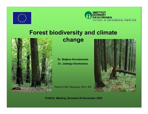 Forest biodiversity and climate change - PolSCA