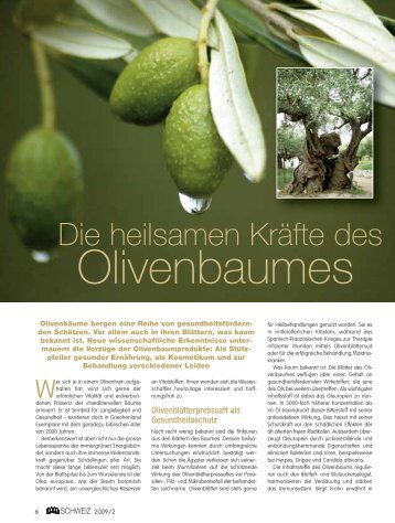 Die heilsamen Kräfte des Olivenbaums - oliven-baum-kraft