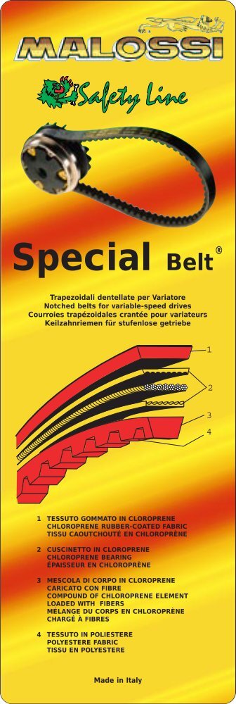 Special Belt - Malossi