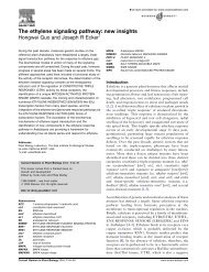 The ethylene signaling pathway: new insights